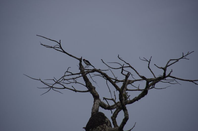 Viewing photos→2014→2014-05-05→043