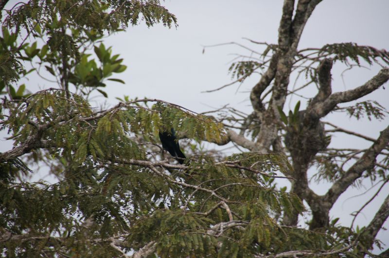 Viewing photos→2014→2014-05-05→048