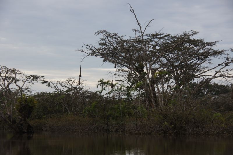 Viewing photos→2014→2014-05-05→050