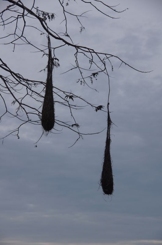 Viewing photos→2014→2014-05-05→051