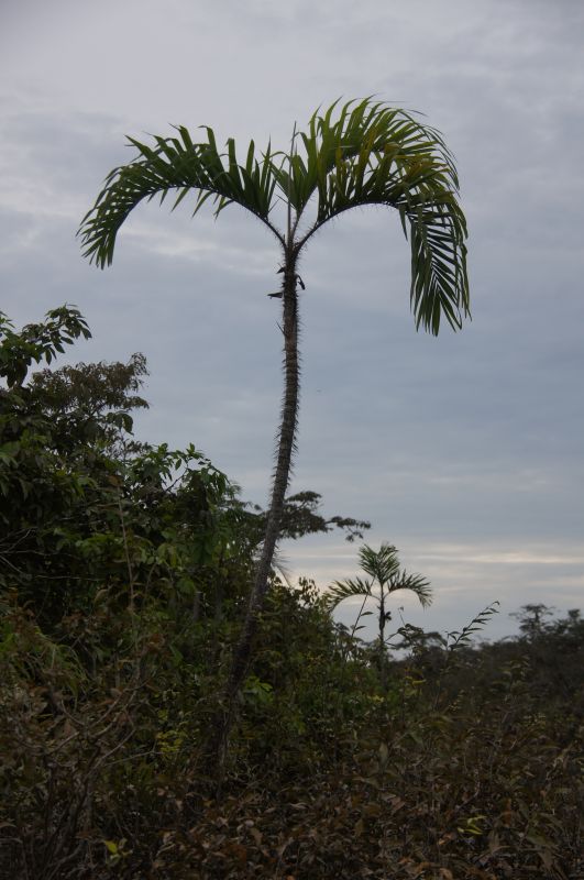 Viewing photos→2014→2014-05-05→052