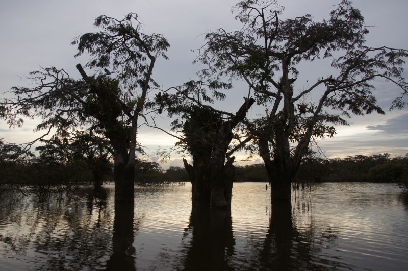 Viewing photos→2014→2014-05-05→057