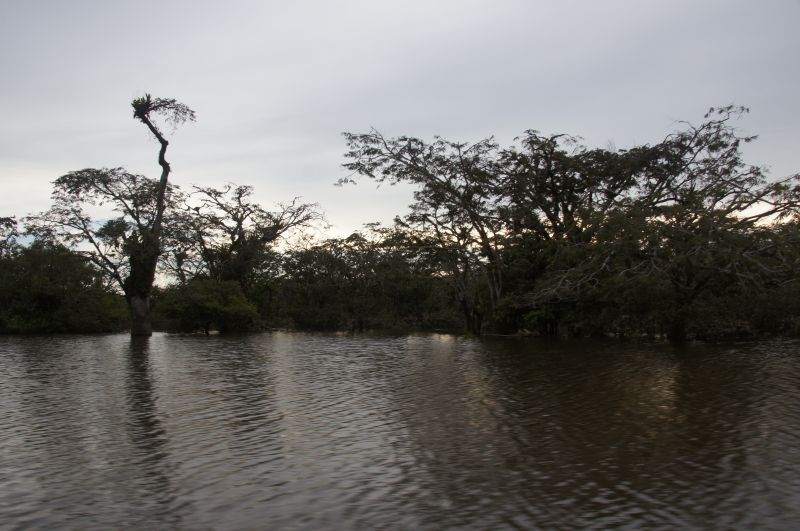 Viewing photos→2014→2014-05-05→059