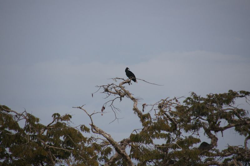 Viewing photos→2014→2014-05-05→061