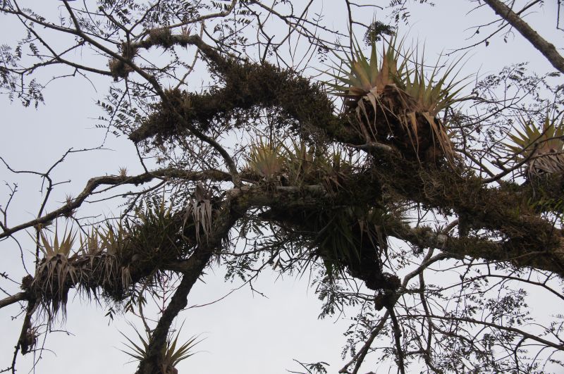 Viewing photos→2014→2014-05-05→066