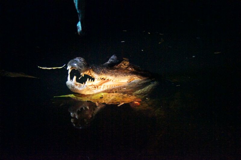 Viewing photos→2014→2014-05-05→075