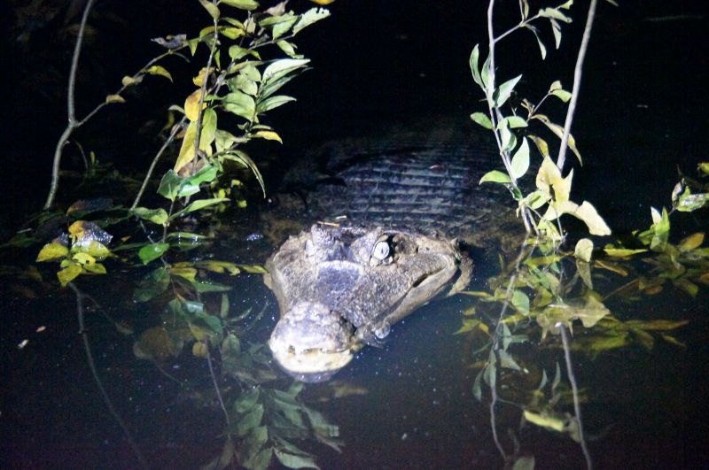 Viewing photos→2014→2014-05-05→077