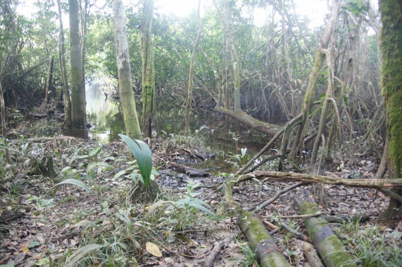 Viewing photos→2014→2014-05-05→081