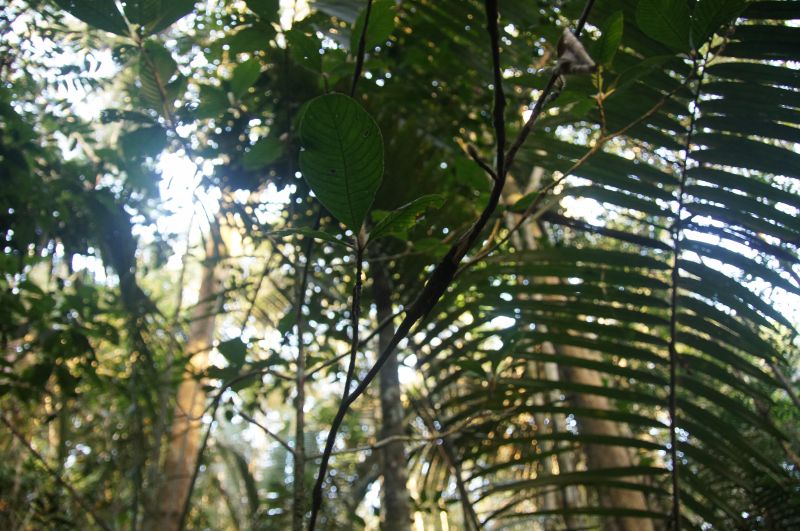 Viewing photos→2014→2014-05-05→082