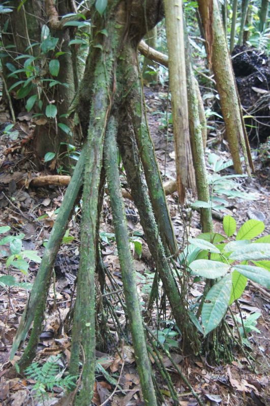 Viewing photos→2014→2014-05-05→086