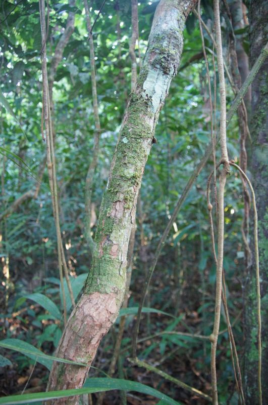 Viewing photos→2014→2014-05-05→088