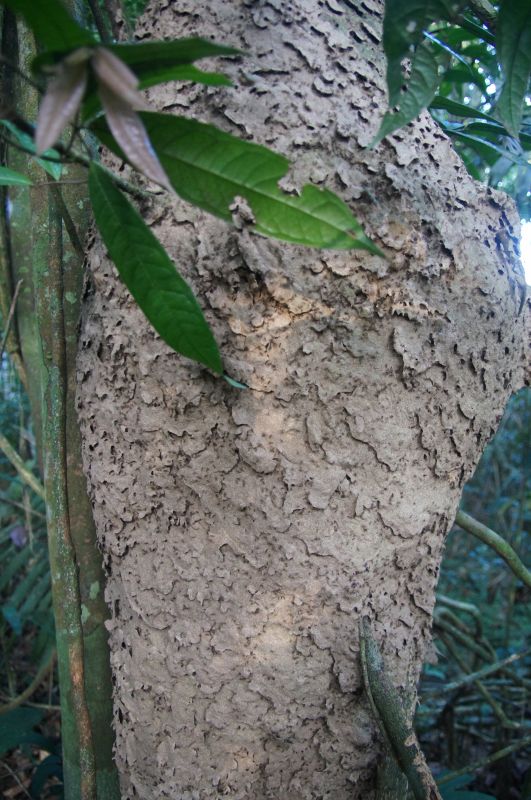 Viewing photos→2014→2014-05-05→090