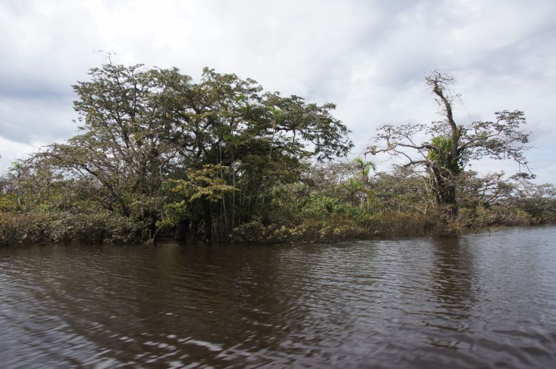 Viewing photos→2014→2014-05-05→094