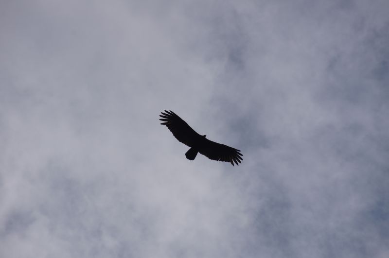 Viewing photos→2014→2014-05-05→096