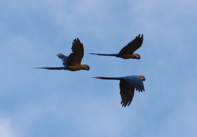 Viewing photos→2014→2014-05-05→098b