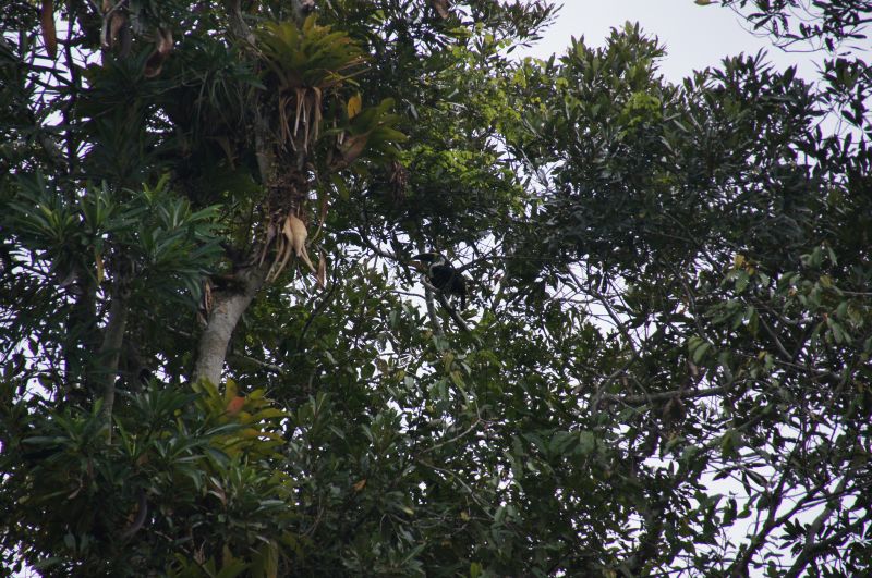 Viewing photos→2014→2014-05-05→099