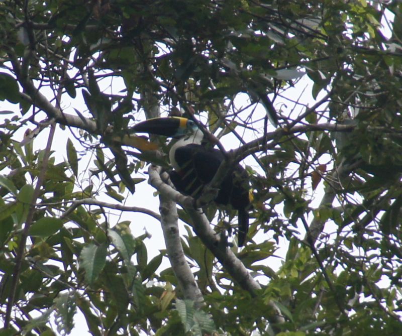 Viewing photos→2014→2014-05-05→099b