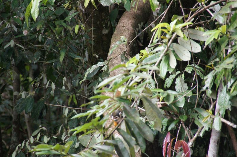 Viewing photos→2014→2014-05-05→101