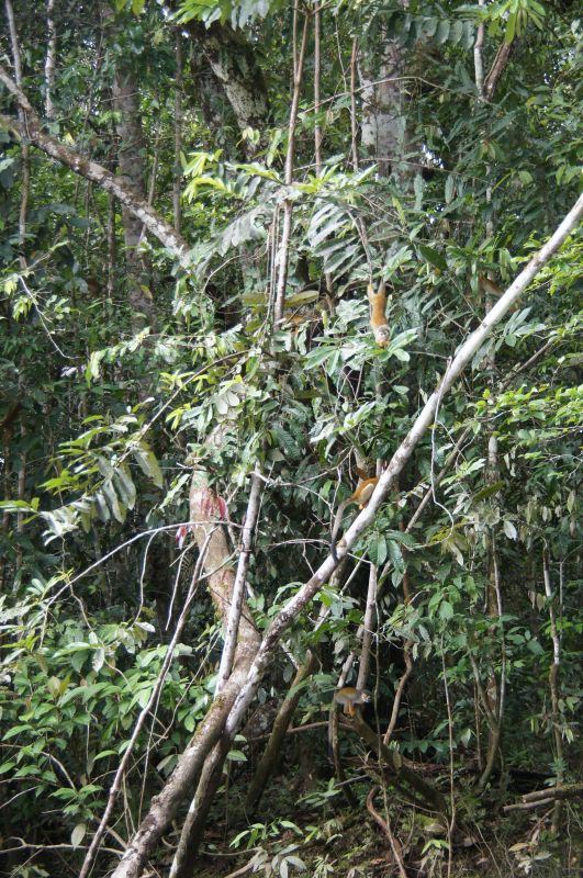 Viewing photos→2014→2014-05-05→103