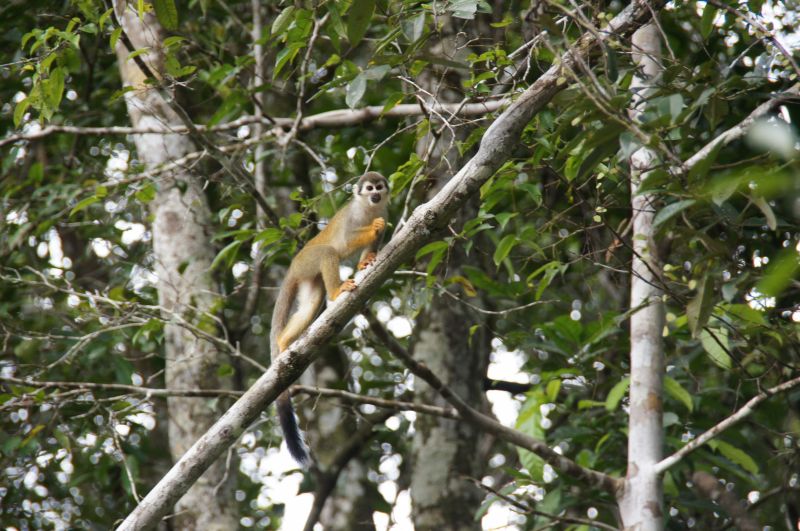 Viewing photos→2014→2014-05-05→104