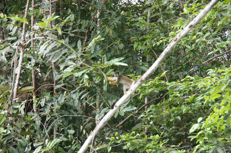 Viewing photos→2014→2014-05-05→107