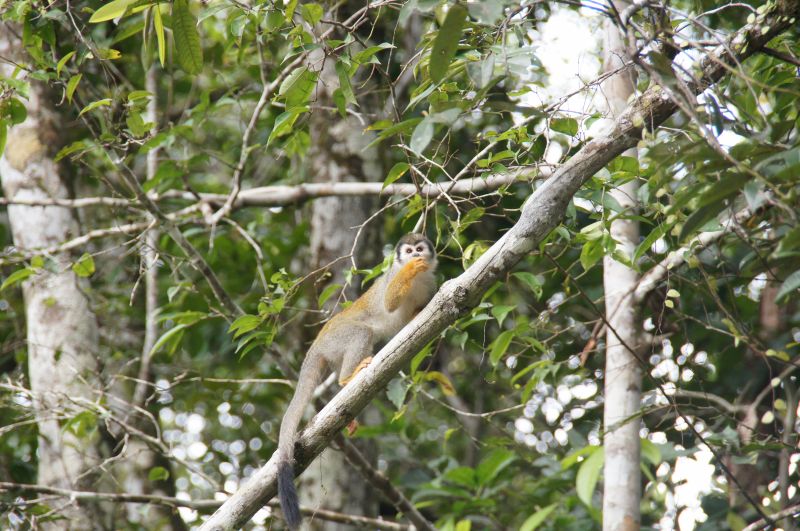 Viewing photos→2014→2014-05-05→108