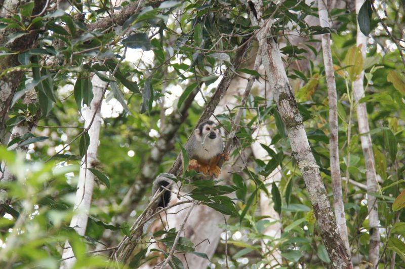 Viewing photos→2014→2014-05-05→110