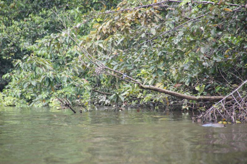 Viewing photos→2014→2014-05-05→117