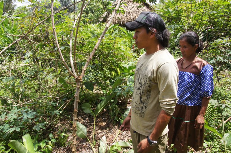 Viewing photos→2014→2014-05-05→123