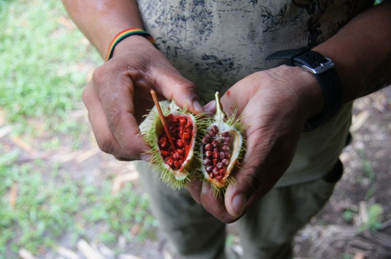 Viewing photos→2014→2014-05-05→139