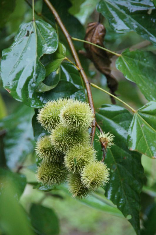 Viewing photos→2014→2014-05-05→140