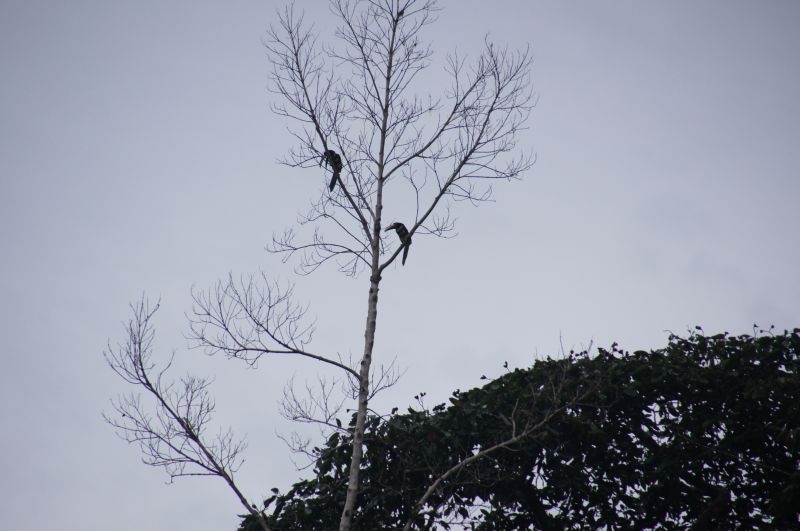 Viewing photos→2014→2014-05-05→155