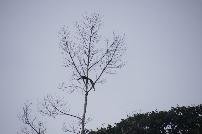 Viewing photos→2014→2014-05-05→156