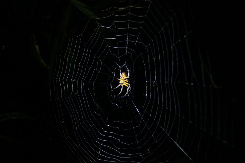 Viewing photos→2014→2014-05-05→161