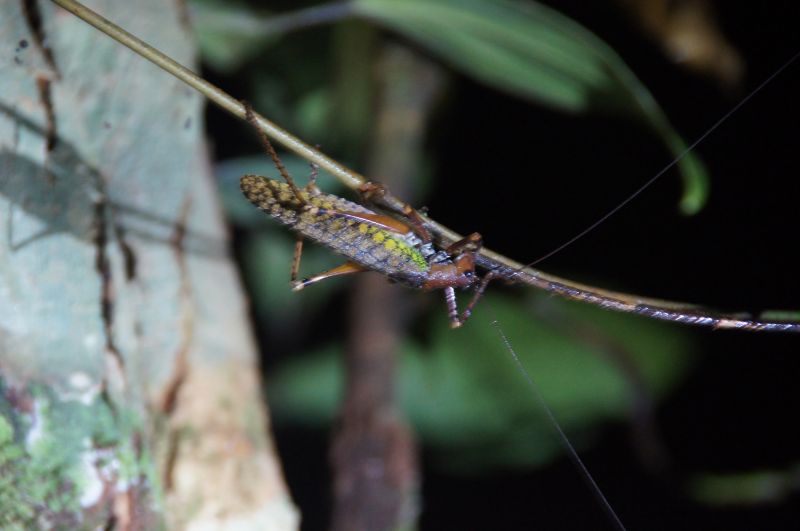 Viewing photos→2014→2014-05-05→163