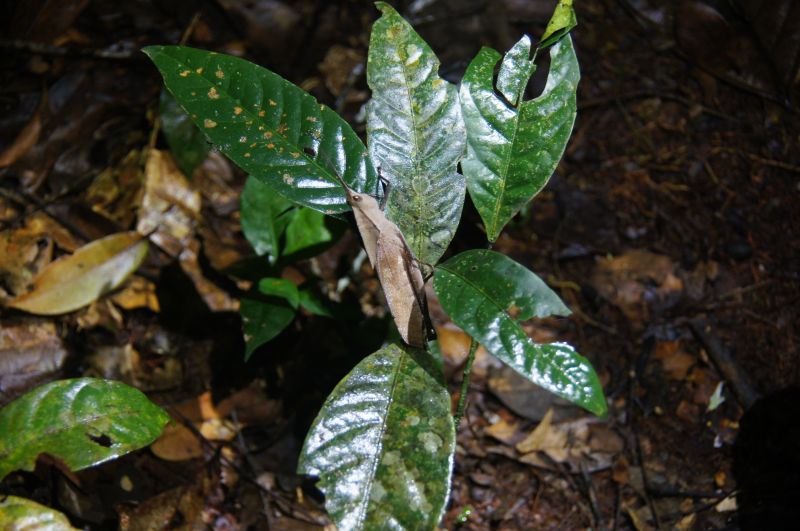 Viewing photos→2014→2014-05-05→168