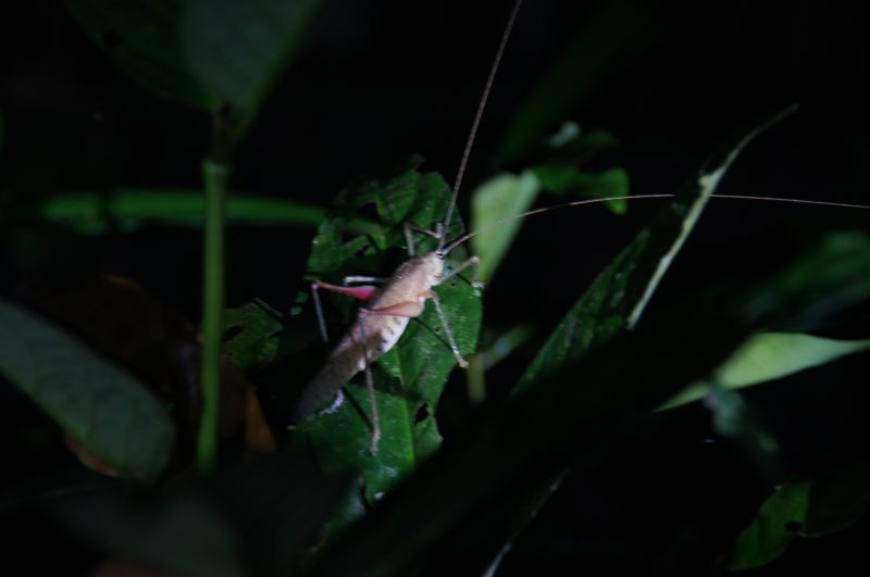 Viewing photos→2014→2014-05-05→171