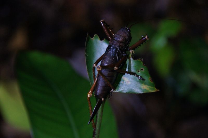 Viewing photos→2014→2014-05-05→172