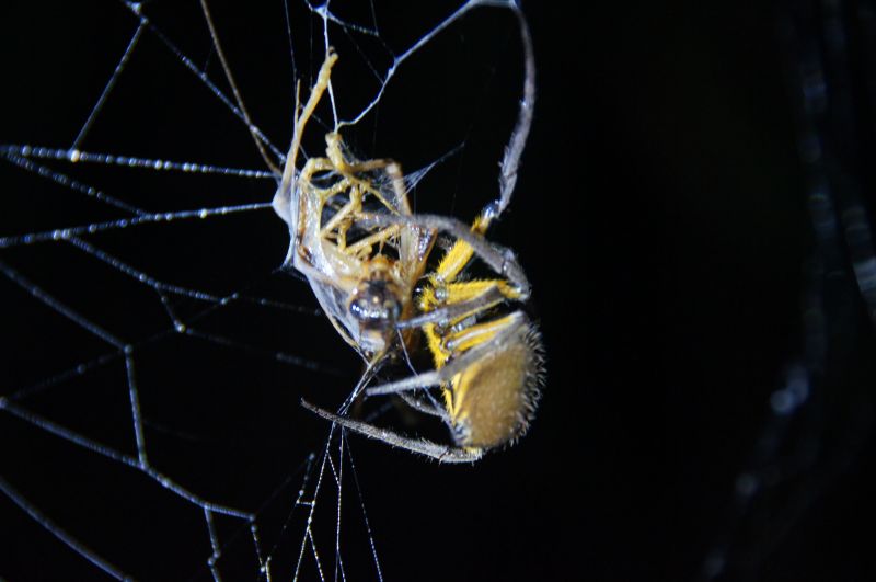 Viewing photos→2014→2014-05-05→175