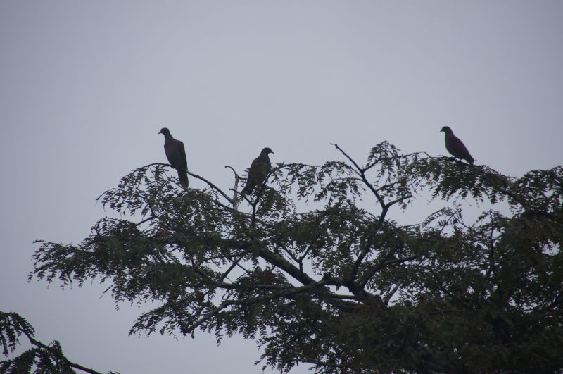 Viewing photos→2014→2014-05-05→180