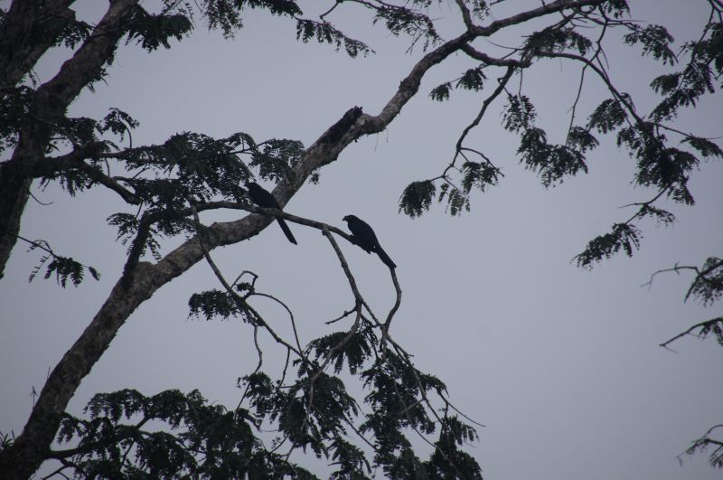 Viewing photos→2014→2014-05-05→184