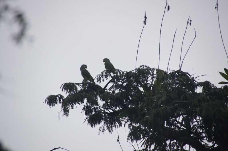 Viewing photos→2014→2014-05-05→185