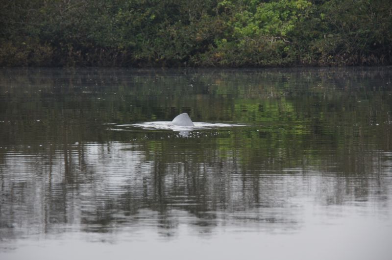 Viewing photos→2014→2014-05-05→188