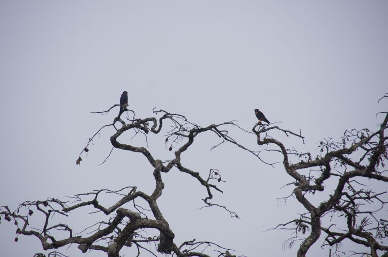 Viewing photos→2014→2014-05-05→189