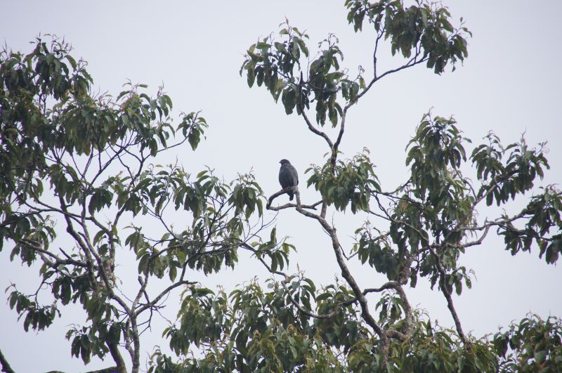 Viewing photos→2014→2014-05-05→191