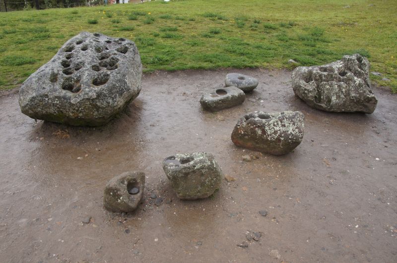 Viewing photos→2014→2014-05-09→11