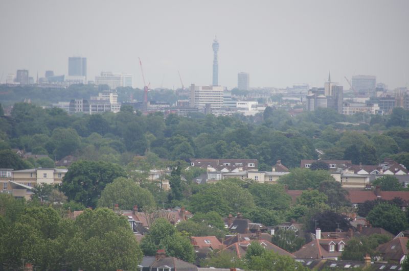 Viewing photos→2014→2014-05-21→11