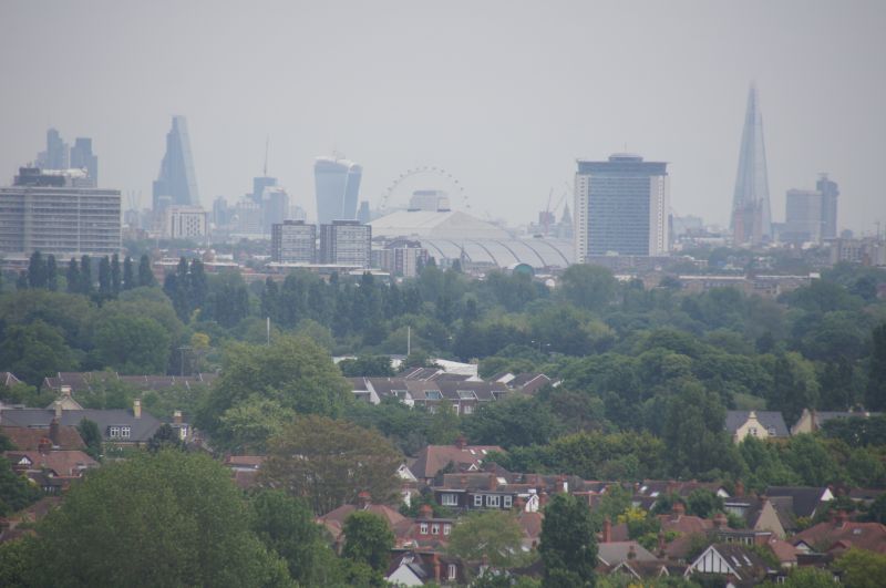 Viewing photos→2014→2014-05-21→12