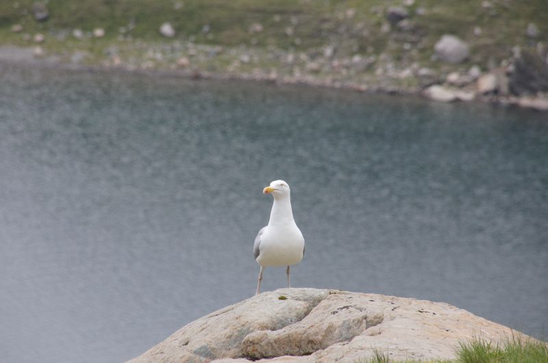 Viewing photos→2014→2014-05-31→039