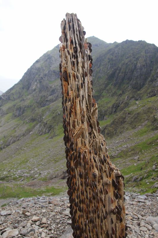 Viewing photos→2014→2014-05-31→045